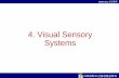 4. Visual Sensory Systems - Korea University · 2019. 3. 12. · 고려대학교산업경영공학과 IMEN 315 인간공학 Contrast Sensitivity A person with normal visual acuity