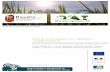 Bordeaux Montaigne University - Audit de la communication …raudin.u-bordeaux-montaigne.fr/wp-content/uploads/2015/...Etude réalisée par : Lucile Bonnamour, Marion Derycke, Charline