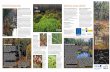 Rašeliniště Schremser Moor Společně pro ochranu rašeliniště … · 2019. 1. 9. · Ohrožená klikva bahenní má jedlé bobule. Chutnají trochu nahořkle a jsou bohaté