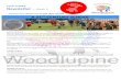Woodlupine Primary School - Term 4 2019 Newsletter Week 9 · 2019. 12. 12. · Term 4 2019 Newsletter – Week 9 29 Solandra Way, FORRESTFIELD WA 6058 08 9453 6928 HAPPY HOLIDAYS