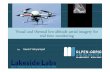 Visual and thermal lowVisual and thermal low--altitude ...€¦ · Saeed Yahyanejad ‐Alpen‐Adria‐UniversitätKlagenfurt 8. Orthorectified mosaicking of UAV images Mosaic O n