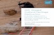 ISIS’ Staged Cultural Heritage Destruction · 2017. 11. 28. · ISIS’ Staged Cultural Heritage Destruction HUMAN DEVELOPMENT RESEARCH INITIATIVE 2 ABSTRACT Dismay was an obvious