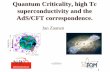 Quantum Criticality, high Tc superconductivity and the AdS ......Quantum Criticality, high Tc superconductivity and the AdS/CFT correspondence. Jan Zaanen 1 4XLFN7LPH DQGD TIFF (Uncompressed)