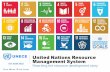 United Nations Resource Management System...UN Resource Management System tool-kit will support: •Policymaking •National resource management •Business process innovation •Capital