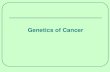 Genetics of Cancer - Masaryk UniversityCauses of cancer Carcinogens, such as tobacco smoke, radiation, chemicals, or infectious agents (Viruses are involved in cancers) . Randomly
