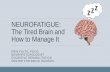 NEUROFATIGUE: The Tired Brain and How to Manage It · I study brain-behavior relationships. I’m looking at how the brain works and how this impacts how a person acts in life –cognitively,
