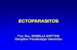 FARMACOLOGIA DOS ANTIPARASITÁRIOS - Webnode...FARMACOLOGIA DOS ANTIPARASITÁRIOS Author Usuario Created Date 3/16/2018 2:50:46 PM ...