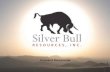CORPORATE PRESENTATION - Silver Bull Resources, Inc. · 2019. 8. 27. · Corporate Snapshot 3 Capitalization Shares Outstanding 236,328,214 Options/Warrants 34,477,305 Shares Fully