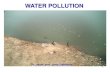WATER POLLUTION · 2013. 4. 5. · WATER POLLUTION Water pollution is the contamination of water bodies (e.g. lakes, rivers, oceans and ground waters). Water pollution occurs when