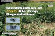 Indentification of Wildlife Crop Depredationwildlife recreation in Indiana, and 284,000 hunters spent approximately 279 million dollars on hunting equipment, travel expenses, and other