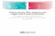 Tuberculosis, HIV, malaria and neglected tropical diseases · 2019. 4. 15. · 2.7 TB, HIV, malaria, neglected tropical diseases and antimicrobial resistance 6 3. Current antimicrobial