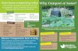 Start home composting today Why Compost ... - Garden Organic · When you compost your organic waste at home you are not only providing your garden with a limitless soil improver for