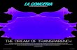 THE DREAM OF TRANSPARENCY - LaConceria · Infographic, photo-essays and exclu-sive interviews. Research, Innovation and Sustainability. ... called because of “its kind of ghostly
