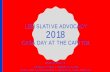 LEGISLATIVE ADVOCACY 2018 - Georgia CASA · 2018. 1. 30. · • The following additions are for accountability courts in the state (GBI/CJCC). Accountability courts can make families