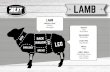 Whole Lamb ROAST - Country Meat Processors€¦ · LAMB Whole Lamb Mince Sausages NK. FILL IN USING R RR Animal OwnerPh Mob Fax Address (Where the Animal is) Email • • • •