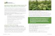 Wastewater Management for Medical Marijuana Facilities€¦ · Medical Marijuana Facilities Missouri’s Clean Water Law requires a permit from the Missouri Department of Natural