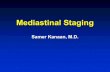 Mediastinal Staging · Samer Kanaan, M.D. Overview ¾ Importance of accurate nodal staging ¾ Accuracy of radiographic staging ¾ Mediastinoscopy ¾ EUS ¾ EBUS . Staging . TNM Definitions