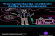 Transplantacija matičnih ćelija hematopoeze · 2020. 4. 9. · ćelija hematopoeze – TMĆH. Ukoliko je pacijent kandidat za pomenutu proceduru, kod njega se vrši izdvajanje matičnih