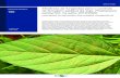 Eficiência de fungicidas para o controle · 2020. 8. 13. · 2 Circular Técnica 160 Eficiência de fungicidas para o controle da ferrugem-asiática da soja, Phakopsora pachyrhizi,
