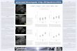 ABSTRACT Adrenal Gland Ultrasonography in Dogs with ... · The adrenal glands in Group 1 were subjectively found to be flattened in contour, largely isoechoic to mildly hypoechoic