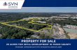 PROPERTY FOR SALE€¦ · 29 ACRES FOR INFILL DEVELOPMENT IN PASCO COUNTY PROPERTY FOR SALE 877.518.5263 | SVNsaunders.com | 114 N. Tennessee Ave. Lakeland, FL 33801
