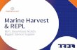 Marine Harvest & REPL · Norwegian seafood specialist Marine Harvest is the world’s largest producer of Atlantic salmon, supplying ... Warehouse Management solution, they turned