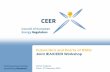 New Future Do’s and Don’ts of DSOs · 2019. 11. 27. · Future Do’s and Don’ts of DSOs Joint IEA/CEER Workshop Denis Cagney ... voice of Europe's national regulators of electricity