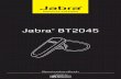 Jabra BT2045/media/Product... · VIELEN DANK Vielen Dank, dass Sie sich für das Jabra BT2045-Headset entschieden haben . Wir hoffen, dass es Ihnen Freude bereiten wird . In diesem