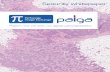 Platform voor het delen van digitale Pathologie beelden · Platform voor het delen van digitale pathologiebeelden Security whitepaper DOC-PJOS-ALTJW2 V.2.1. Pathology Image Exchange