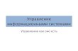 Управление Информационными Системами - 03rsq.narod.ru/lectures/information_system_management_04.pdf · •«Легковесные» гибкие
