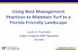 Using Best Management Practices to Maintain Turf in a ... · Practices to Maintain Turf in a Florida Friendly Landscape Laurie E. Trenholm Urban Turfgrass BMP Specialist UF-IFAS .