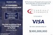 FT Partners | Financial Technology Investment Bank San ...€¦ · Selected Company Profiles Company Profile: CardinalCommerce VISA SO Financial Technology Partners November 2016