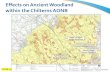 Effects on Ancient Woodland within the Chilterns AONB · 375322 Potter Row, Great Missenden CS2109 44.1 39.0 45.6 67.2 44.7 42.4 38.6 1,A,iii,b R1311 (11) HOC/01809/0012. Appendix