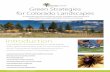 Green Strategies for Colorado Landscapes...Green Strategies for Colorado Landscapes 2 Water is in short supply in our arid climate and a scarce and precious resource in Colorado. Without