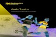 Ankle Sprains - rmg.nm.org€¦ · Ankle Sprains Treatment and Restoration of Motion Ankle Sprains Treatment and Restoration of Motion Ankle sprains Ankle anatomy The ankle is a complex