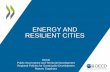ENERGY AND RESILIENT CITIESproject • Ensuring the access and continual provision of energy is critical for resilience in cities. ... deployment capacity of renewable energy facilities