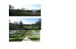 GA… · PERFUME GARDEN RCE - PWANI . iWžPwani Botanical Garden THE SUCCULENTS ALOES . Author: ADMIN Created Date: 8/18/2014 12:12:45 PM ...