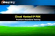 Cloud Hosted IP PBX - Airespring Premium Attendant... · your new Cloud Hosted IP PBX. •With an amazing number of features the AirePBX System will empower your Business to be more