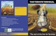 THE TERMITE TERMINAL · Will the Exterra Stations attract Termites to my home? Rest easy, the answer is no. The large Exterra Stations are there to protect your home and will only