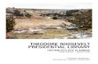 THEODORE ROOSEVELT PRESIDENTIAL LIBRARY€¦ · in the Project Brief, prepared by D. R. Horne for the Theodore Roosevelt Presidential Library Foundation. The AE2S team rated each