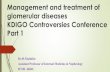 Management and treatment of glomerular diseases KDIGO … · 2019. 2. 19. · KDIGO Controversies Conference Part 1 Dr.M.Matinfar Assistant Professor of Internal Medicine & Nephrology