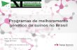 Programas de melhoramento genético de suínos no Brasil...empresa de melhoramento genético 1990 Abertura de mercado: novas empresas de melhoramento genético 2000 Encerramento de