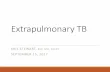 Extrapulmonary TB - IPAC Canada · CNS – meningitis, tuberculoma, ocular TB Cardiac – TB pericarditis Other – skin, bone marrow, glandular tissue (breast), great vessels . Peripheral