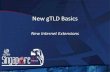 New gTLD Basics - ICANN GNSO...New gTLD Basics New Internet Extensions ... • IDN – Internationalized Domain Name • Domain name represented by local language characters, or letter