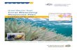 Great Barrier Reef Coral Bleaching...Great Barrier Reef Coral Bleaching Response Plan 2006–07 1. Introduction Large-scale coral bleaching events, driven by unusually warm sea temperatures,