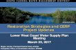 Restoration Strategies and CERP Project Updates...Integrated Delivery Schedule (IDS) 8 Project Features 10,500 acre reservoir (170,000-acre feet) Two cells PS 476: 195 cfs irrigation