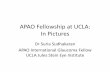 APAO Fellowship at UCLA: In Pictures...Trabectome wet lab certificate didactic. Attending Grand Rounds at UCLA Dr Joseph Caprioli at Grand Rounds Dr Nouri Mahdavi at Grand Rounds.