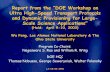 Report from the “DOE Workshop on Ultra High-Speed Transport …people.cs.vt.edu/.../030603-Science-Workshop.pdf · 2013. 6. 24. · Report from the “DOE Workshop on Ultra High-Speed