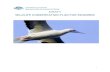 Draft Wildlife Conservation Plan for Seabirds · Seabirds can be oceanic, coastal, or in some cases spend a part of the year away from the sea entirely. Adaptation to the marine environment