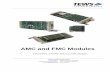 AMC and FMC Modules - NewdataThe Embedded I/O Company AirMax Connectors 50 I/Os 3 x 68 pin VHDCI Connector 50 I/Os 50 I/Os Order Information RoHS Compliant TAMC002-TM-10R MTCA.4 Rear